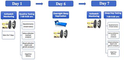 Acute sleep deprivation disrupts emotion, cognition, inflammation, and cortisol in young healthy adults